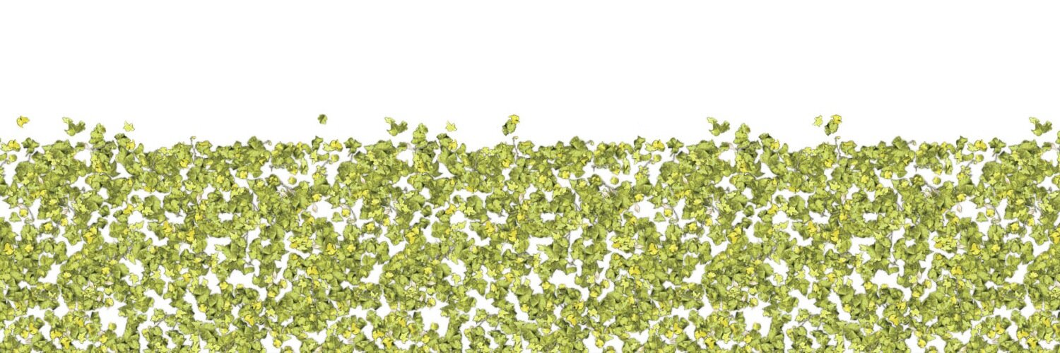 almostDesign's profile banner image