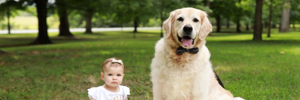 MatthewALanham Profile Banner