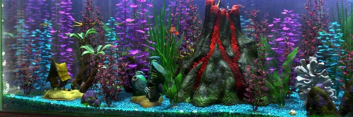 ali_aufa's profile banner image