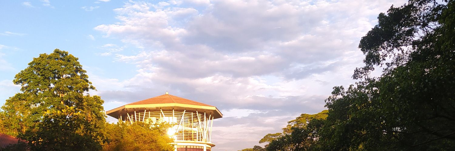elfaaidaaha's profile banner image