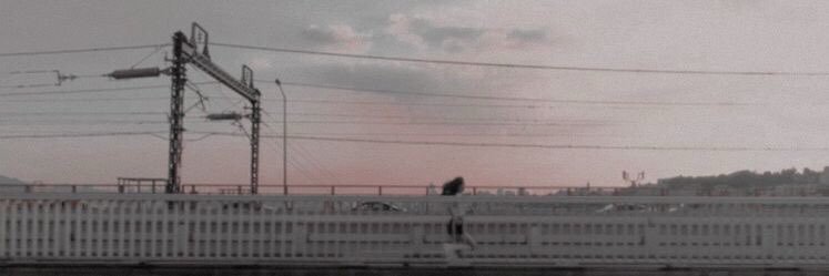 T. banner