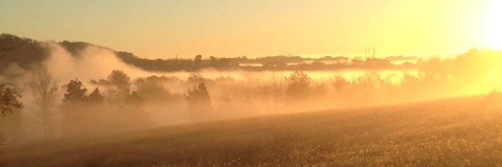 Brendan Feldmann banner