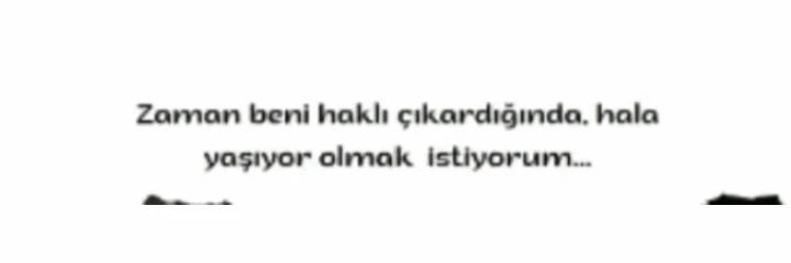 Taşkın Özer banner