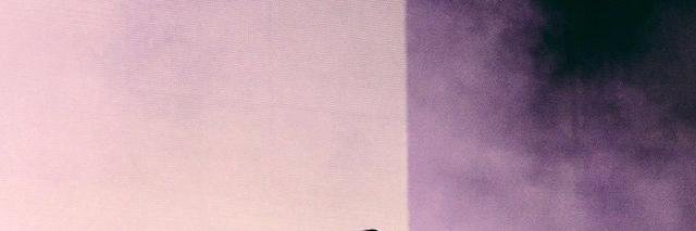 N'G banner