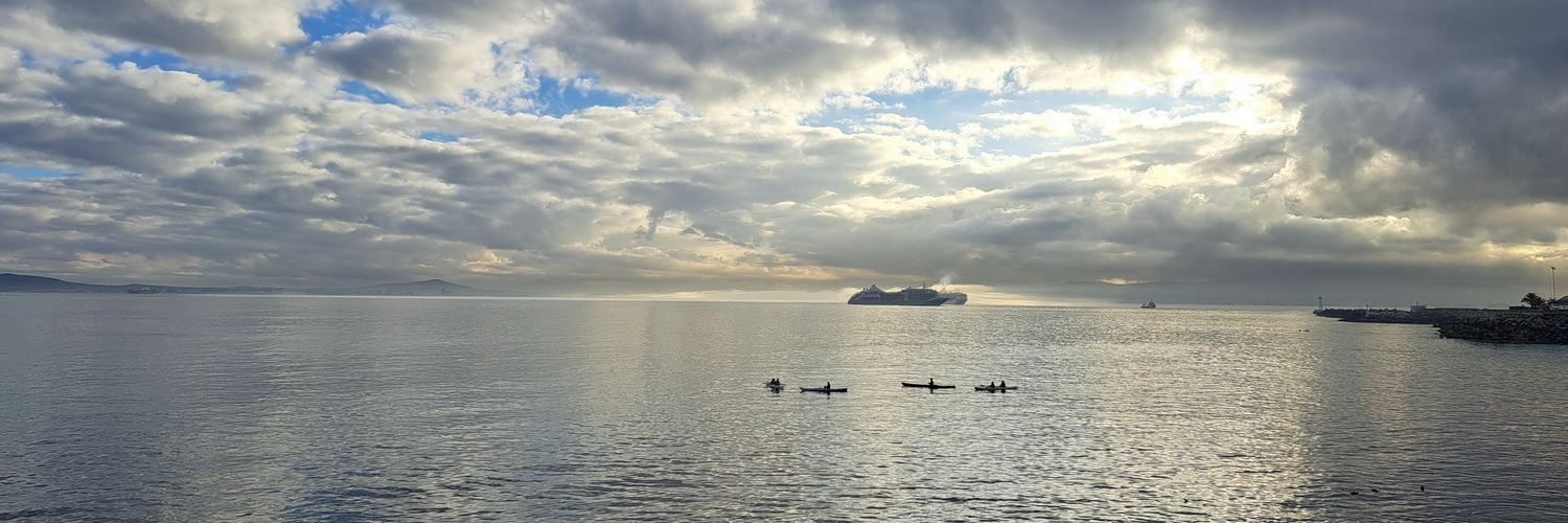 Alma Phillips banner