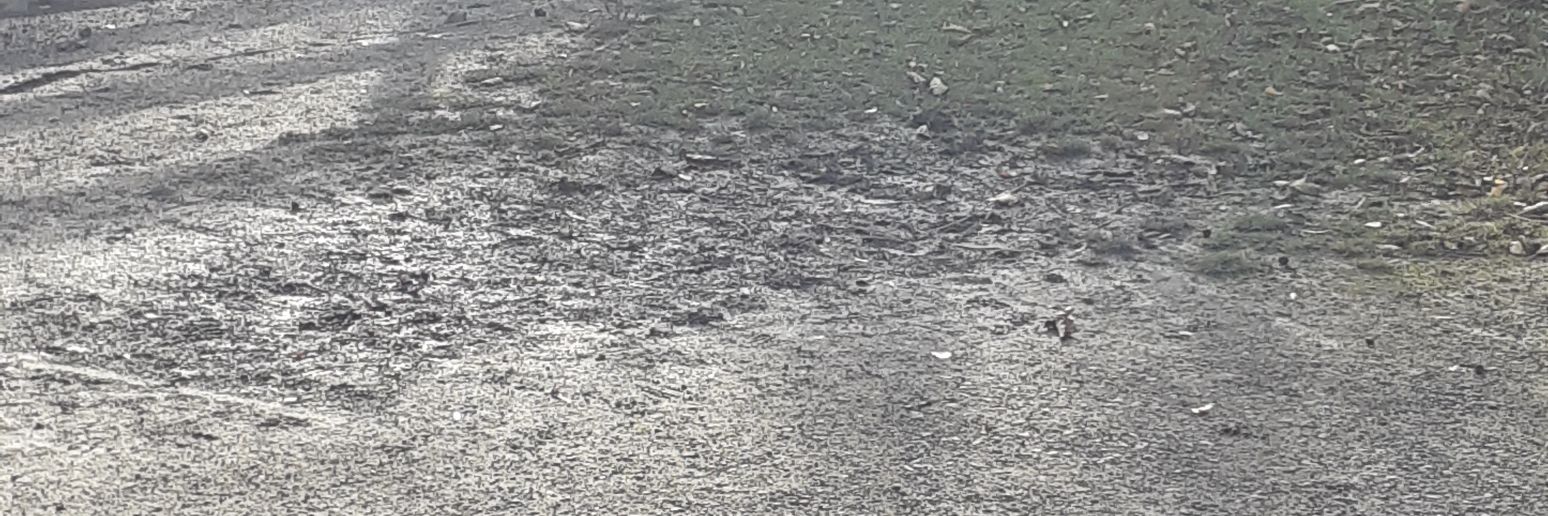 wrestlinggo's profile banner image