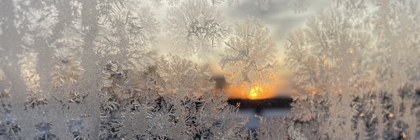 alglader Profile Banner