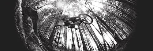 bas van steenbergen banner