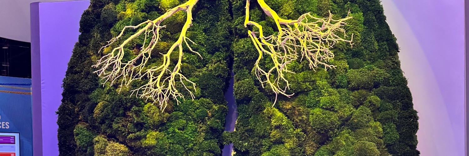 DeAWilkins1's profile banner image