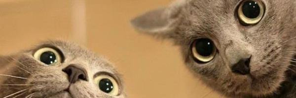 OsunaTim's profile banner image