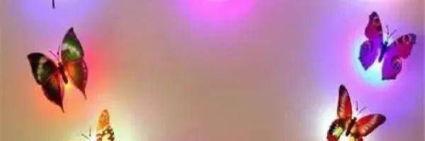 lizzybholly's profile banner image
