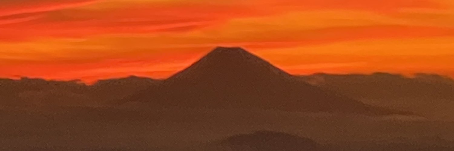 quietlea's profile banner image