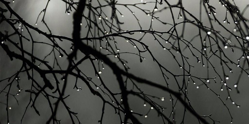 xbox99899's profile banner image