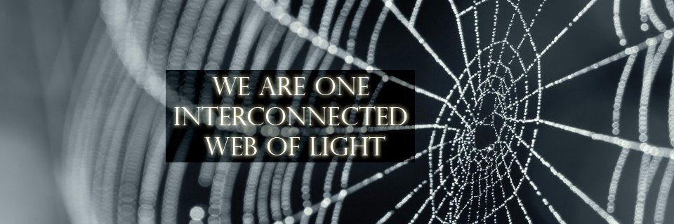 SubtleActivism's profile banner image