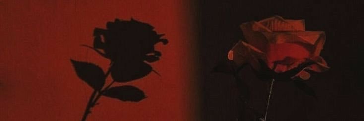 wonwoouz's profile banner image