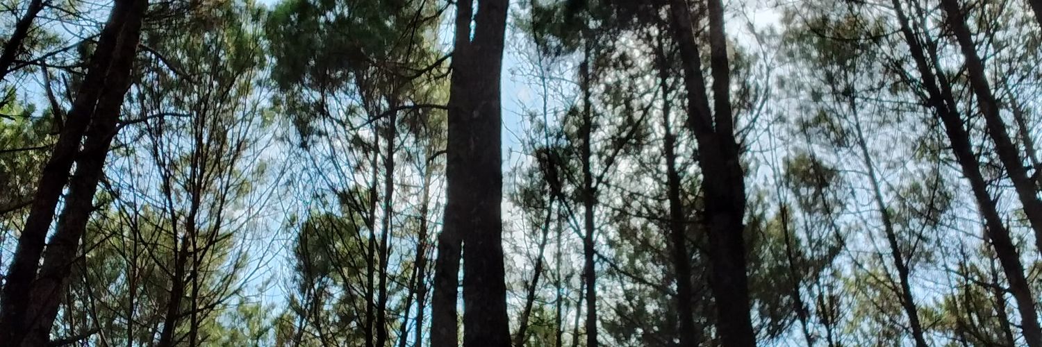 Hasna_nn's profile banner image
