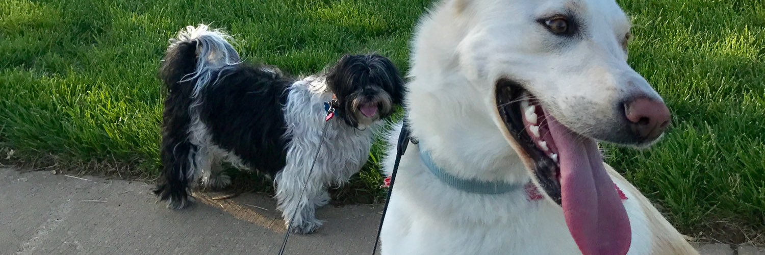 KyleWLee's profile banner image