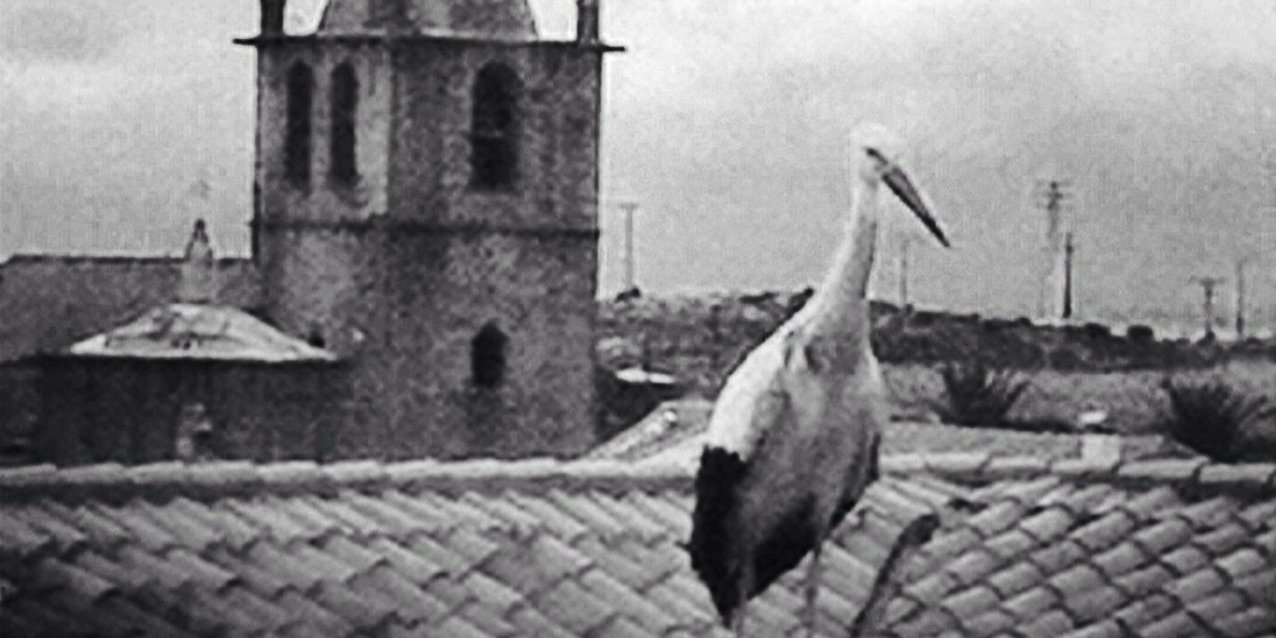 Leire Iglesias banner