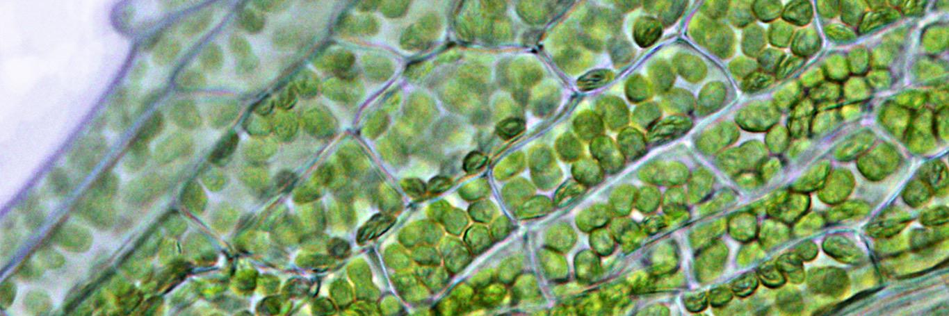 JSPP_news's profile banner image
