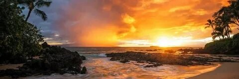 Rachelle Sullivan banner