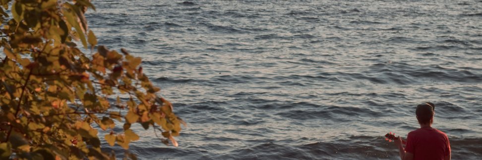 Brett Wildeman banner