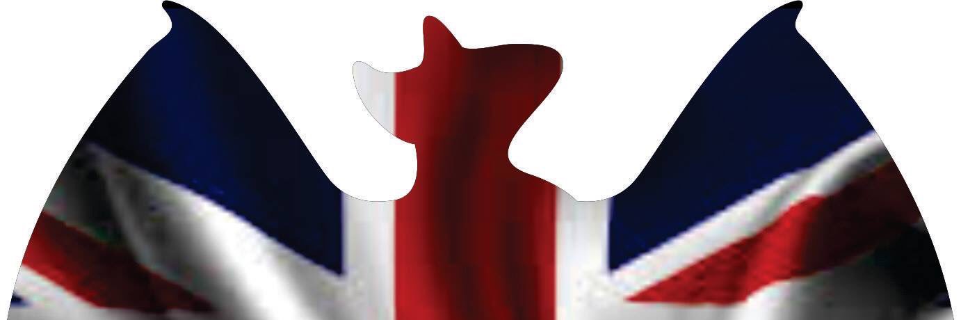 cazrun7's profile banner image