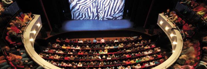 Isala Theater banner