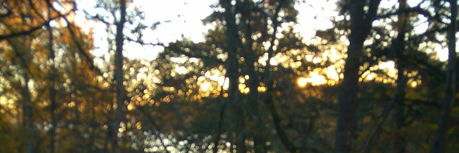 SharaThoha's profile banner image