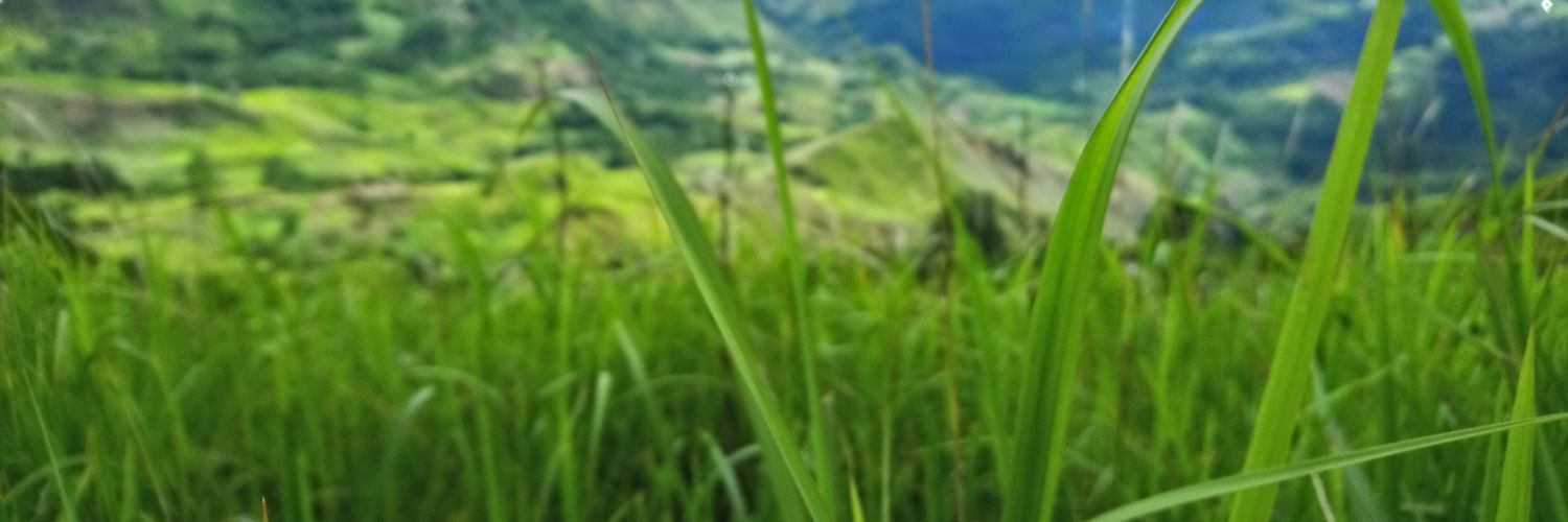 geniushem11's profile banner image