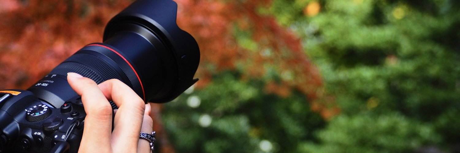 wildflower2303's profile banner image