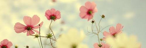 Marumew's profile banner image