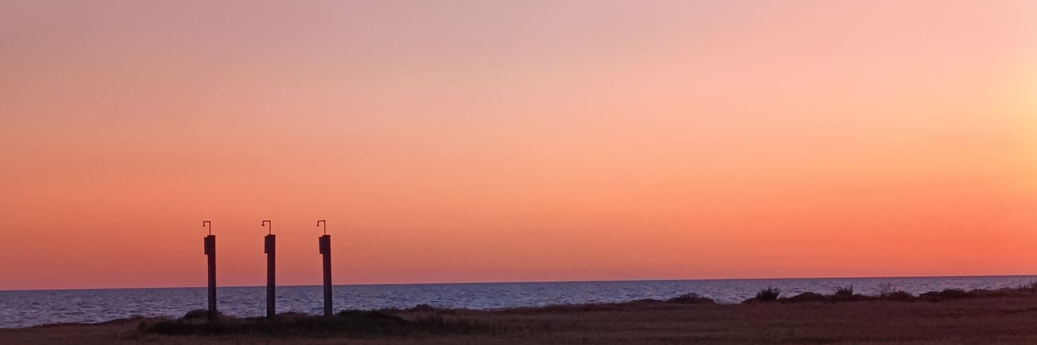 dappina's profile banner image