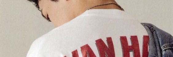 Nia banner