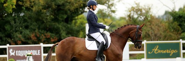 georgetapner Profile Banner