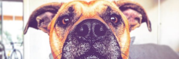 calbennett2 Profile Banner