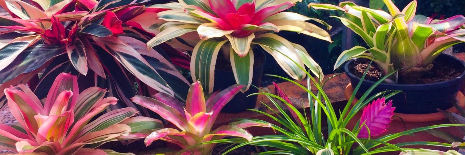 ChabelaMoran's profile banner image