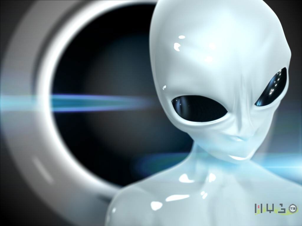 Blackdogbad's profile banner image