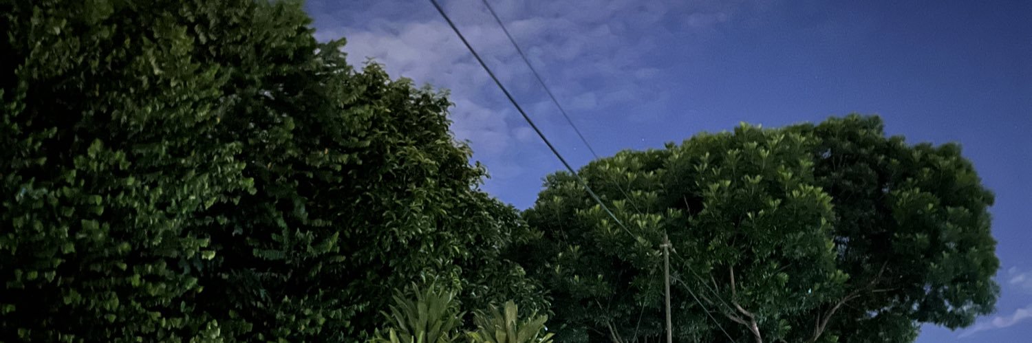_nrzwaaa's profile banner image