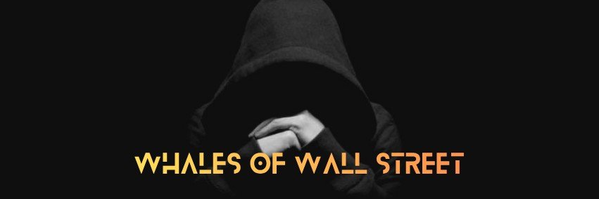 TheMacroWhales's profile banner image