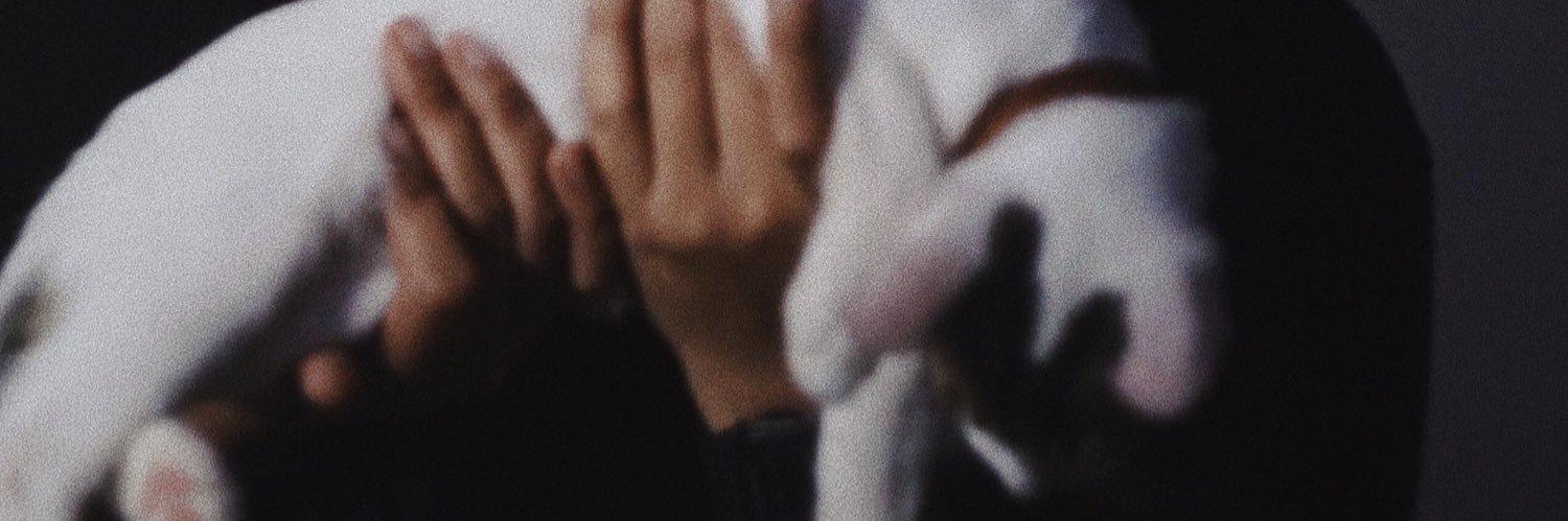 rzhyp's profile banner image