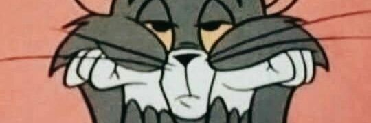 nadasabilaa's profile banner image