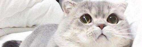 lorenasc97's profile banner image