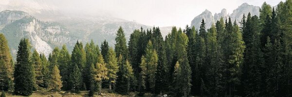 SwarovskiOptik Profile Banner
