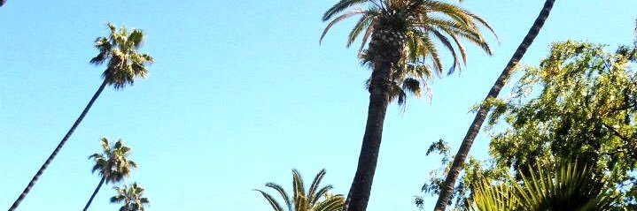 crookersss's profile banner image