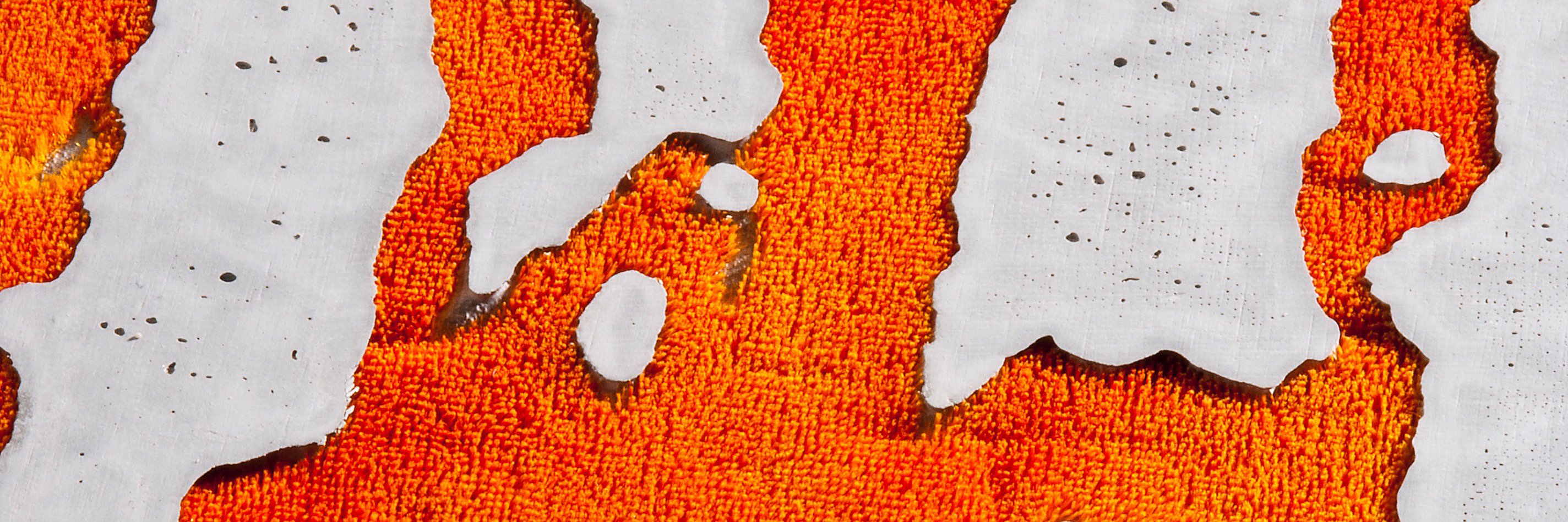 Tact_Fact's profile banner image