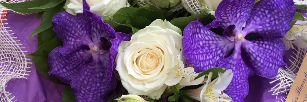 FrancoiseEmo's profile banner image