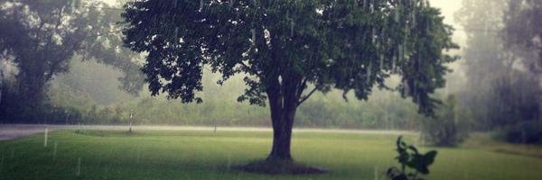 saab2010 Profile Banner