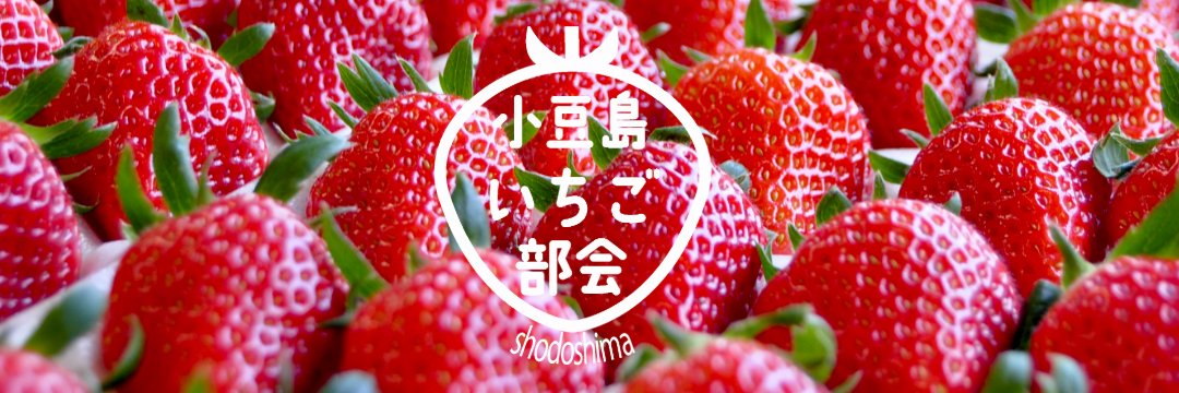 shodoshima15's profile banner image