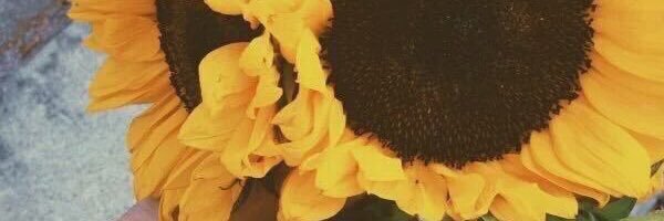 fbvenuss's profile banner image