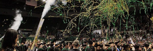 UABHeersink Profile Banner